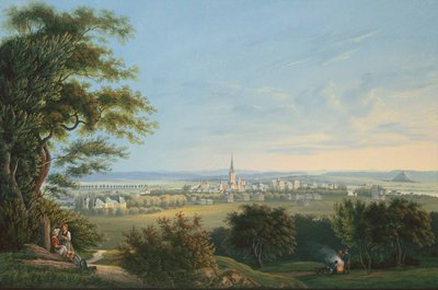 Ansicht der Stadt Vevay und ihrer Umgebung von Johann Ludwig Bleuler